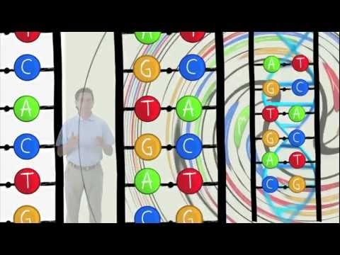 Entendiendo el ADN y ARN