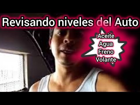 Revisar niveles en el coche, nivel de aceite, liquido de frenos, agua, coolant