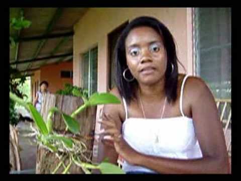 Colocar Orquideas en troncos de madera