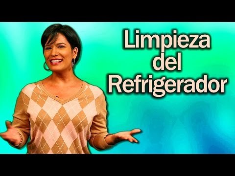 Como limpiar una nevera