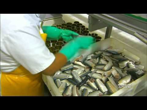 Sardinas en lata - Como se hacen