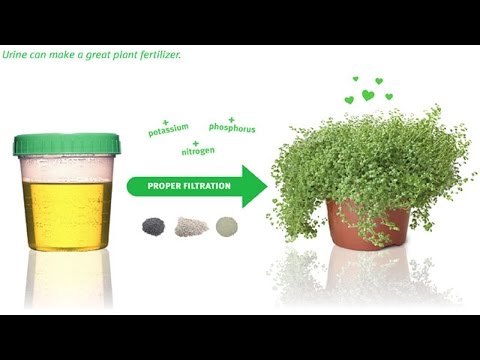 Uso de orina como fertilizante orgánico