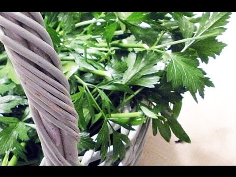 Aprendiendo a conservar las hierbas frescas por más tiempo