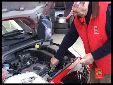 Antes de salir de viaje...