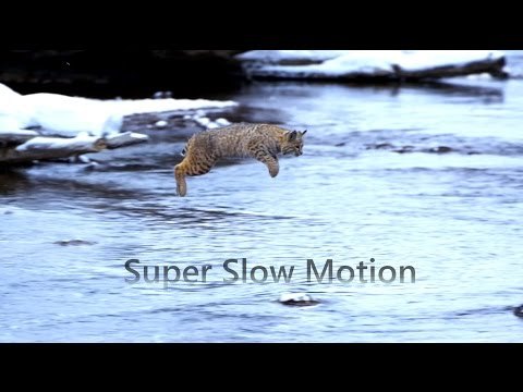 La energía oscura y sus consecuencias