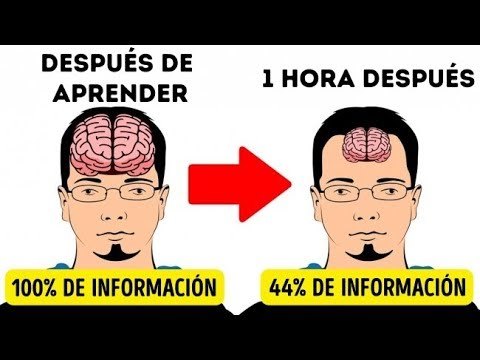 11 secretos para memorizar cosas más rápido que otros