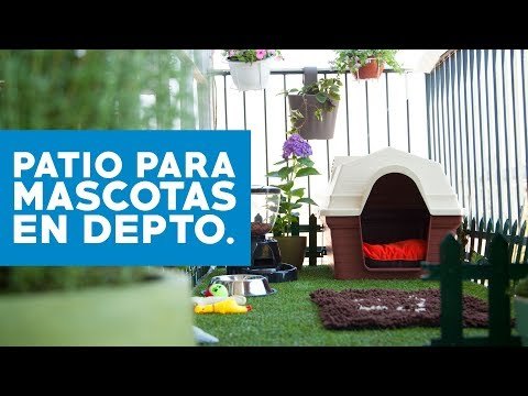 Cómo hacer un patio para mascotas en apartamentos