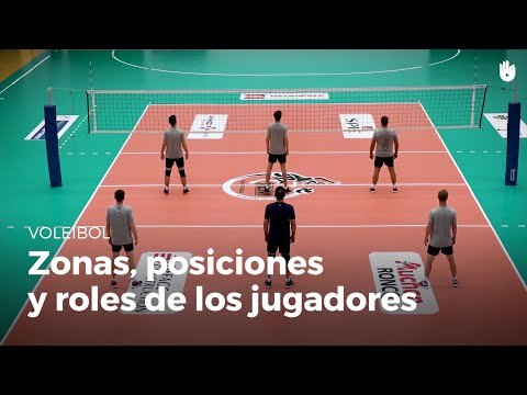 Zonas, posiciones y roles de los jugadores de voleibol