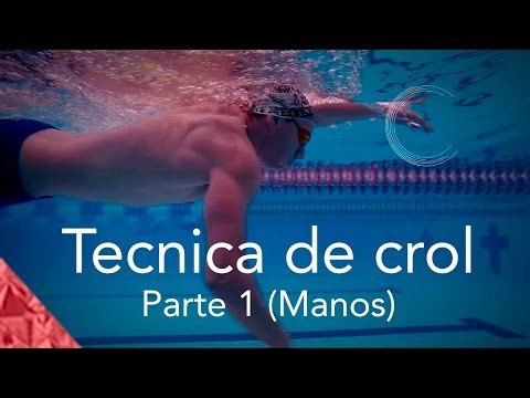 Cómo nadar crol correctamente. Técnica manos