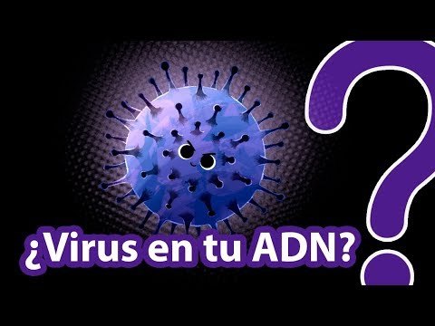 ¿Qué sabes de los virus?