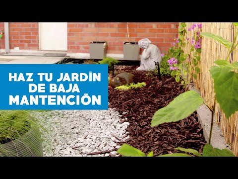 Cómo hacer un jardín de baja manutención