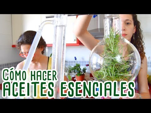 Cómo hacer aceites esenciales en casa