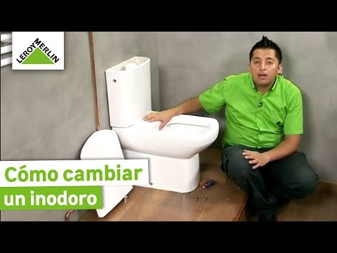 Como cambiar un inodoro