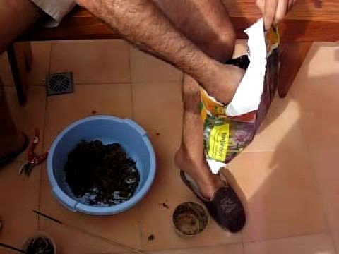 Trasplantar orquideas a una maceta