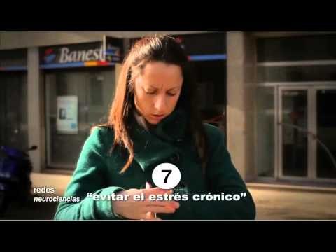 Mantener un cerebro saludable