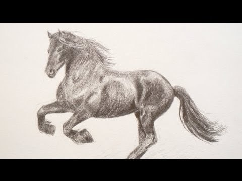 Como dibujar un caballo