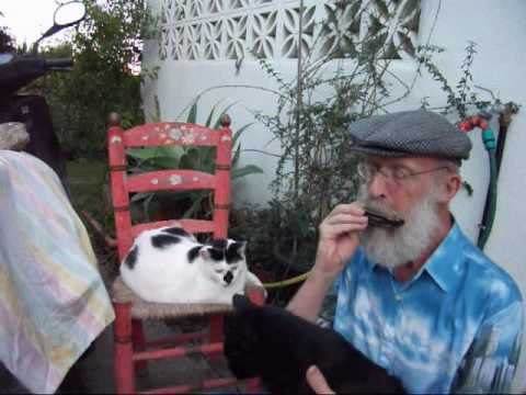 Aprende a tocar la armónica. Lección 3