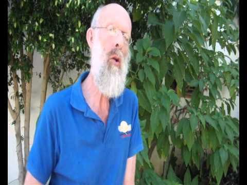 Aprende a tocar la armónica. Lección 6