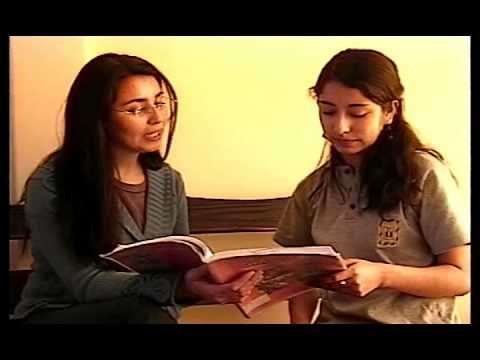 Estratégias de compresión lectora