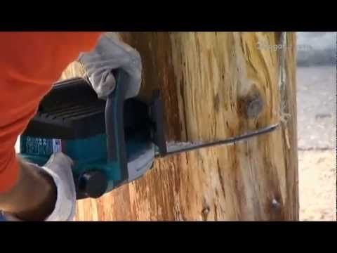 Tronco convertido en silla