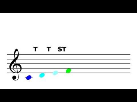 Música: El tetracordo