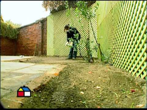 Como renovar un patio húmedo y sombrío