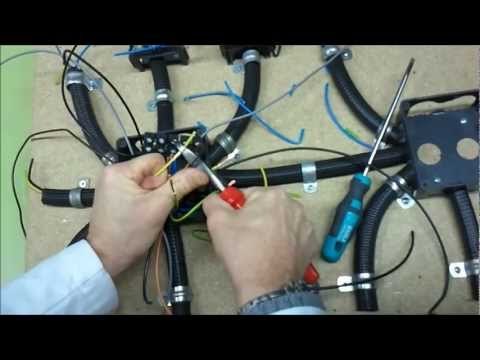 Cableado de caja de registro. 2/4