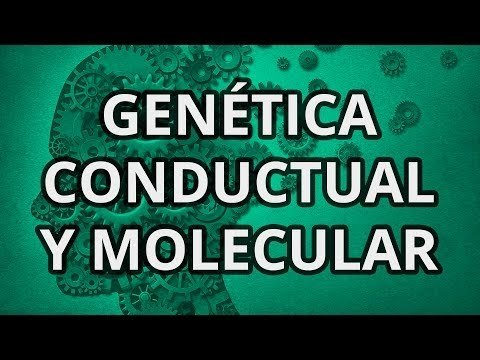 Psicología. Genética Humana II