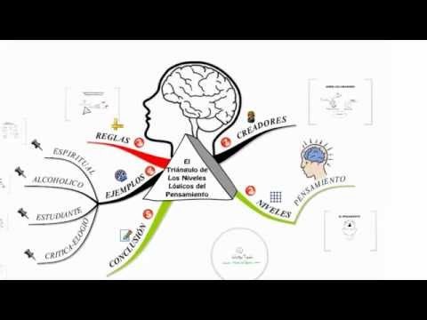 PNL. El triangulo niveles lógicos del pensamiento