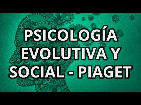 Áreas de investigación de la Psicología III
