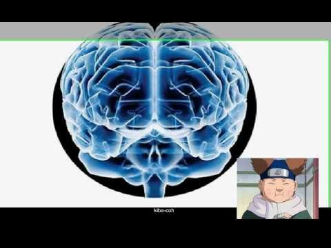 Mejorar la concentración y la memoria