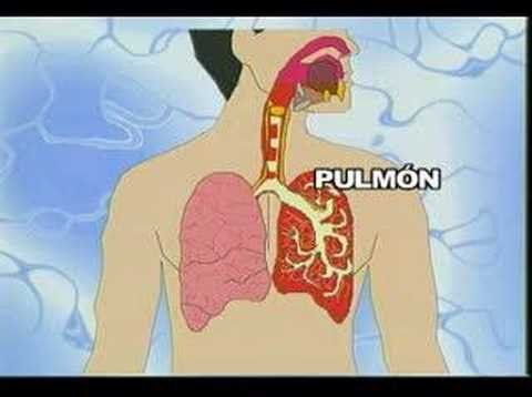 Como dejar de fumar. Parte 3