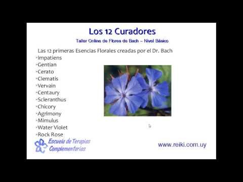 Flores de Bach, nivel básico. Clase  2 (1/7)