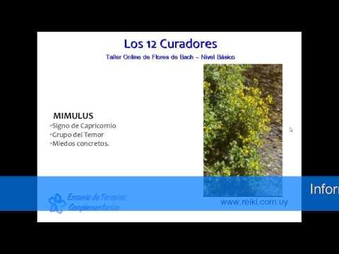 Flores de Bach, nivel básico. Clase 2 (2/7)