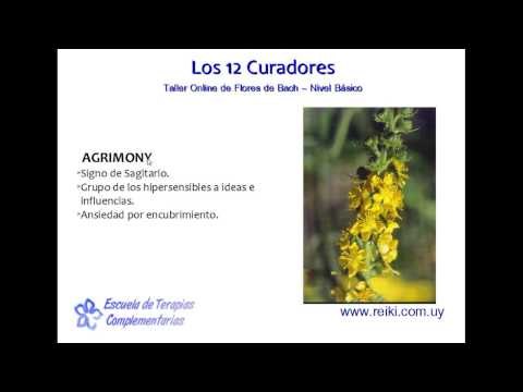 Flores de bach, nivel básico. Clase 2 (4/7)