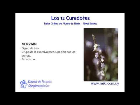 Flores de Bach, nivel básico. Clase 2 (5/7)