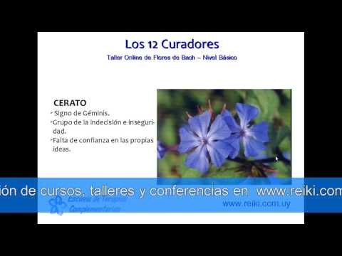 Flores de Bach, nivel básico. Clase 2 (6/7)