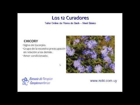 Flores de Bach, nivel básico. Clase 3 (1/8)