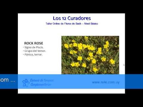 Flores de Bach, nivel básico. Clase 3 (2/8)