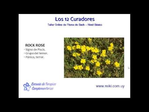 Flores de Bach, nivel básico. Clase 3 (3/8)