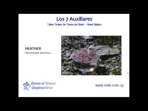 Flores de Bach, nivel básico. Clase 3 (5/8)