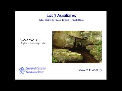 Flores de Bach, nivel básico. Clase 3 (6/8)