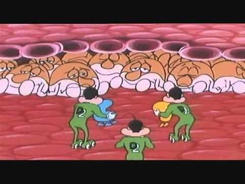 Como se forman los huesos