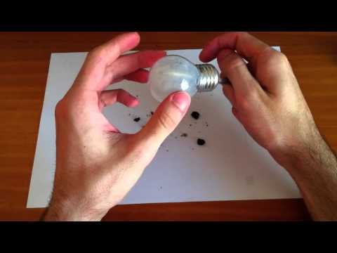 Un jardin dentro de una bombilla