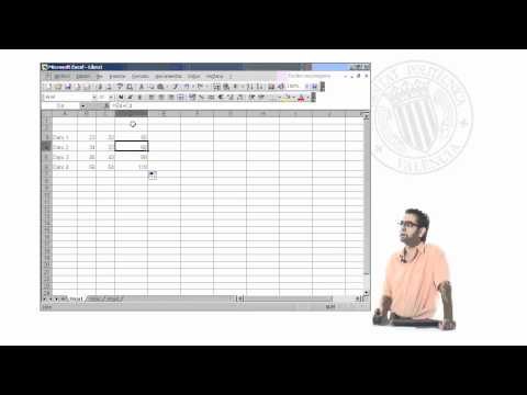Curso de Excel 2003. Parte 21
