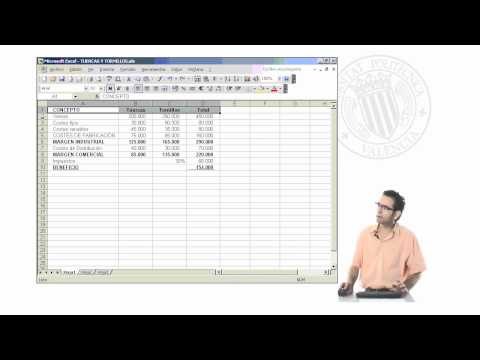 Curso de Excel 2003. Parte 25