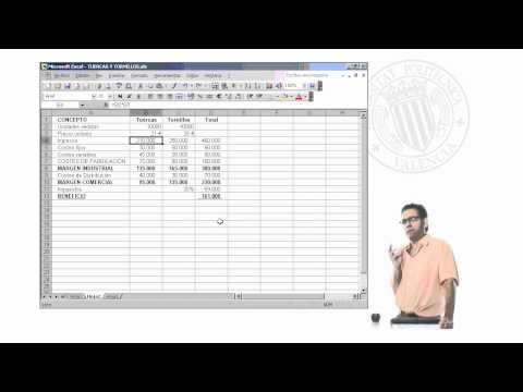 Curso de Excel 2003. Parte 26