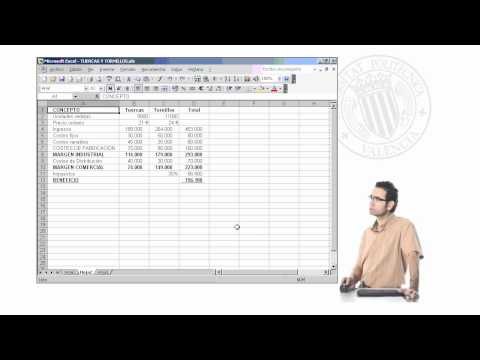 Curso de Excel 2003. Parte 32