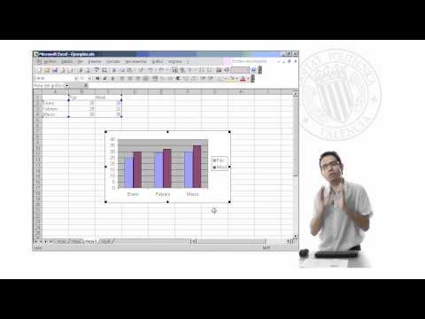 Curso de Excel 2003. Parte 35