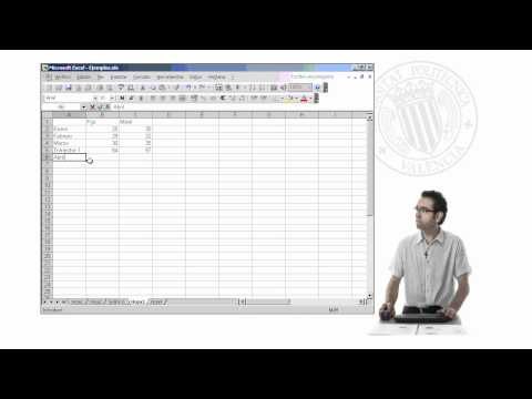 Curso de Excel 2003. Parte 37